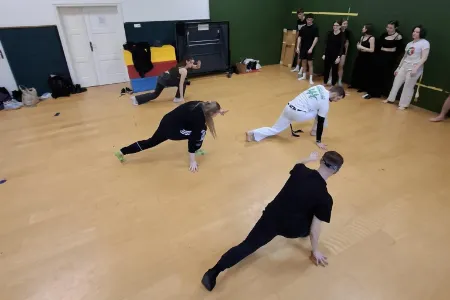 Brazilské bojové umění capoeira